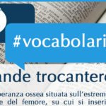 Grande trocantere